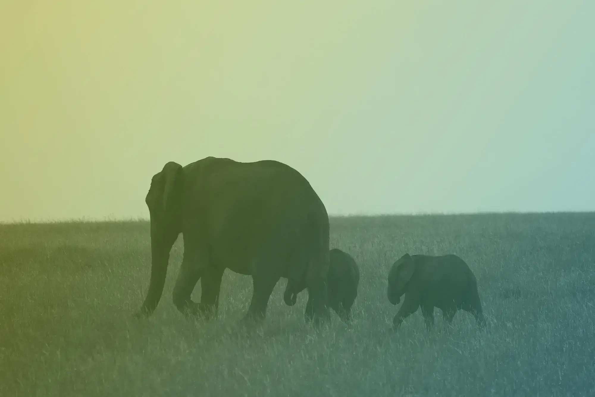 Level 3 Management School Page